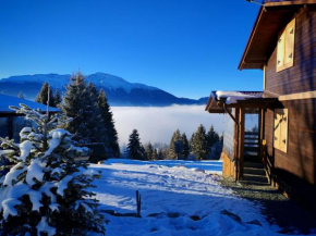 Cabana din Munți, Borşa